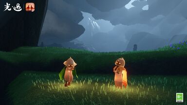 光遇郁金香斗篷在哪里換 光遇郁金香斗篷獲取方法